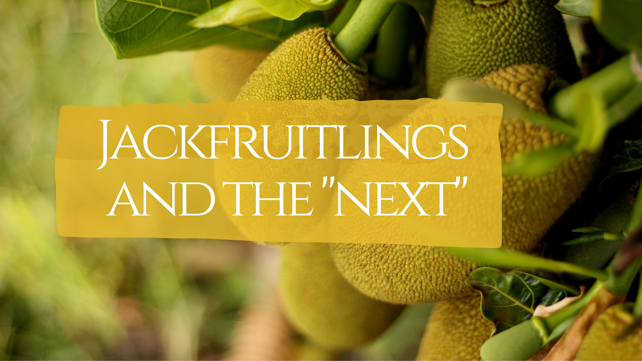 Jackfruitlings and the “Next”